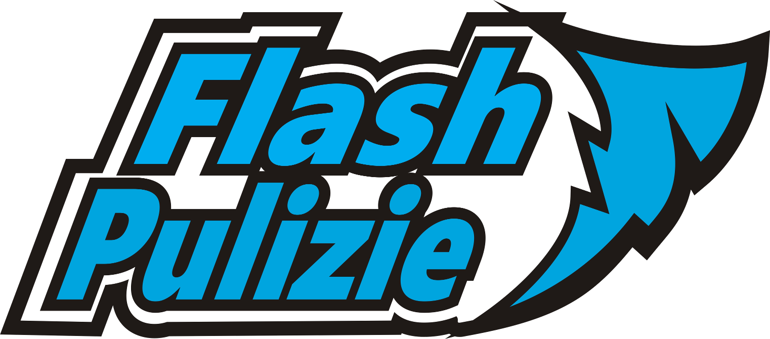 logo flash pulizie